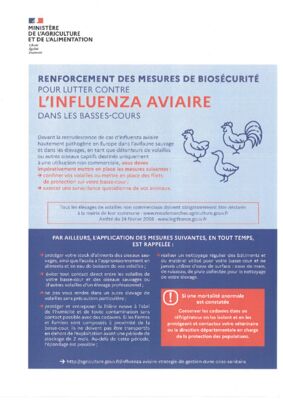 thumbnail of depliant_biosecurite_et_cerfa_detention_oiseaux