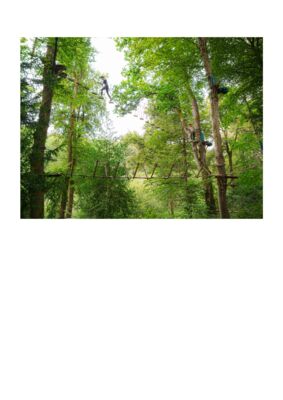 thumbnail of photo_1