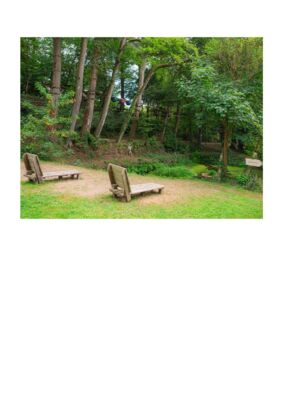 thumbnail of photo_2